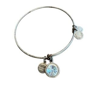 Alex and Ani Crystal Silver Charm Bracelet